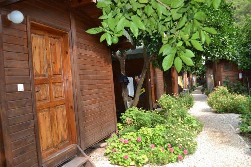 Lodge Olympos Doga Pansiyon