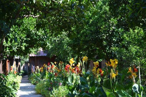 Lodge Olympos Doga Pansiyon