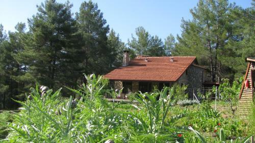 Hotel Dikencik Cottages