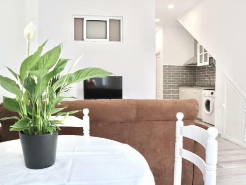 Apartamento Gades 2 Conil