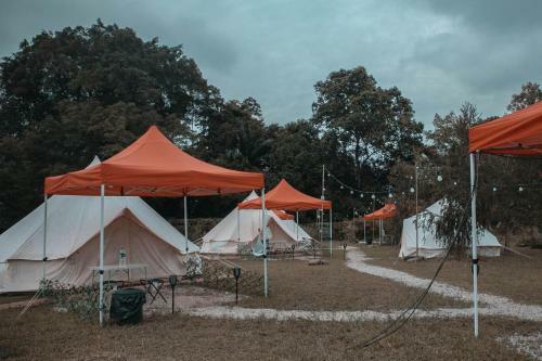 Kampung Glamping