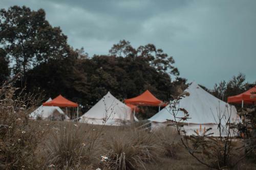 Kampung Glamping