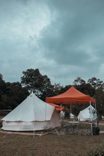 Kampung Glamping