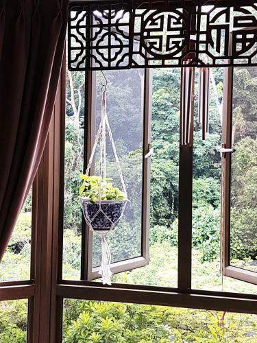 Oriental Tropics Private Forest View