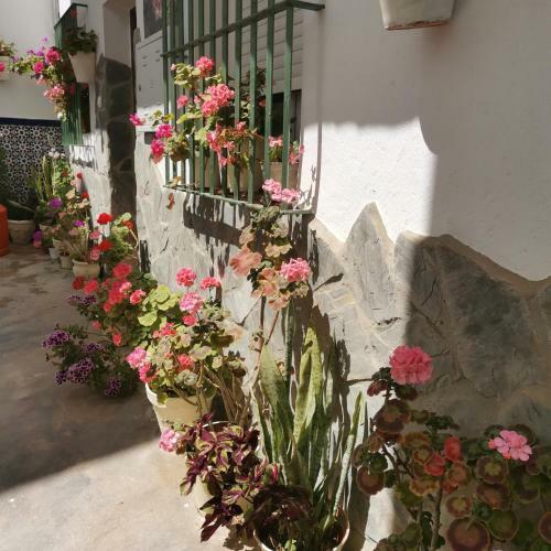 Apartamento El Rinconcito De Pepa