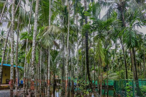 Hotel Oyo 81880 Ocean Holidays