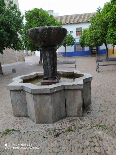 Apartamento Alojamiento Casa T�pica de C�rdoba