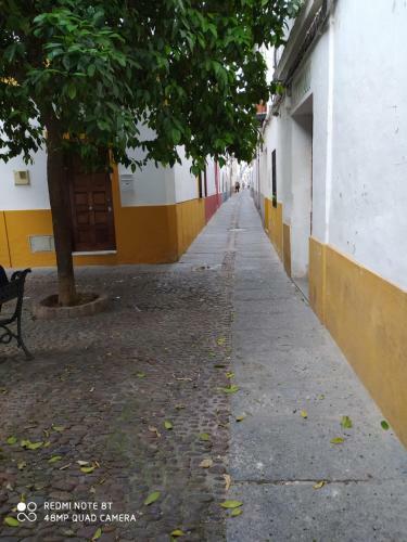 Apartamento Alojamiento Casa T�pica de C�rdoba
