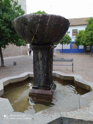 Apartamento Alojamiento Casa T�pica de C�rdoba