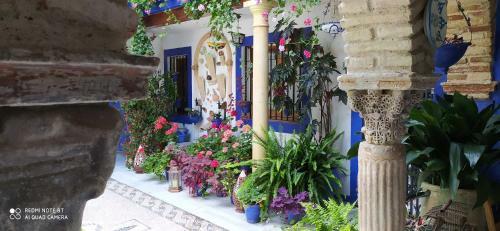 Apartamento Alojamiento Casa T�pica de C�rdoba