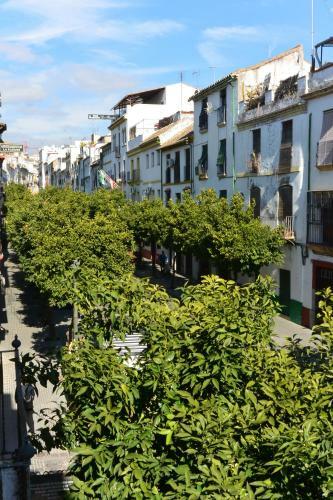 Casa Del Portillo-centro Hist�rico