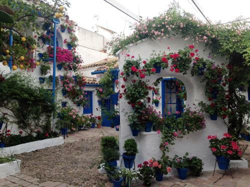 Apartamento Patio San Lorenzo