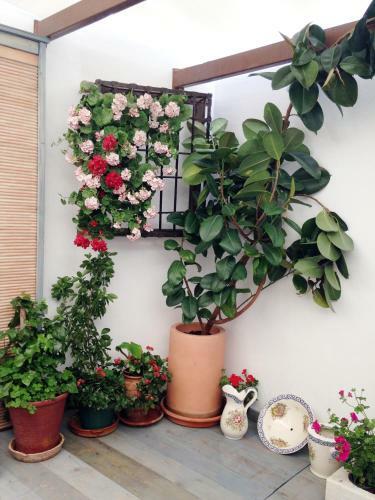 Apartamento Patio San Lorenzo