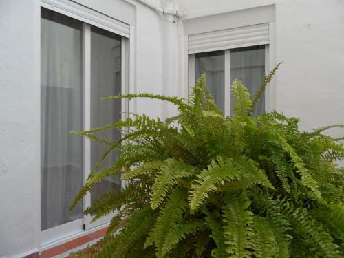 Apartamento La Peluquer�a