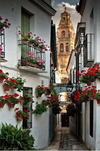 Apartamento Con Bbq. H De La Reina