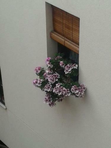 Apartamentos La Ribera C�rdoba