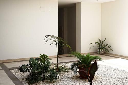 Apartamento El Sue�o de San Fernando (I)