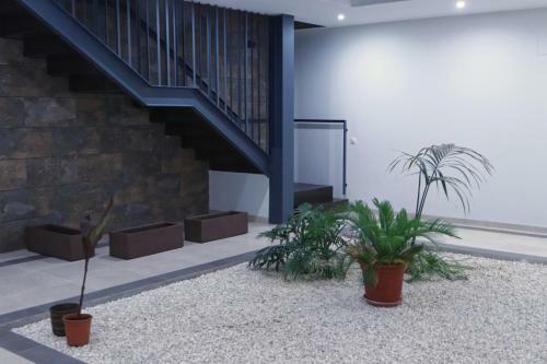 Apartamento El Sue�o de San Fernando (I)