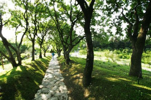 Hostal Olive Farm Of Datca Guesthouse