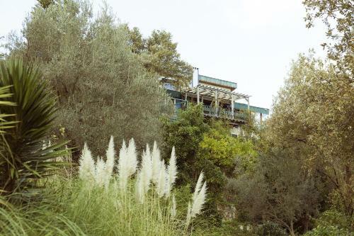 Hostal Olive Farm Of Datca Guesthouse
