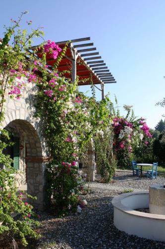 Hostal Olive Farm Of Datca Guesthouse