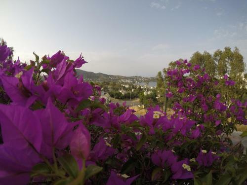 Panorama Hotel Bodrum