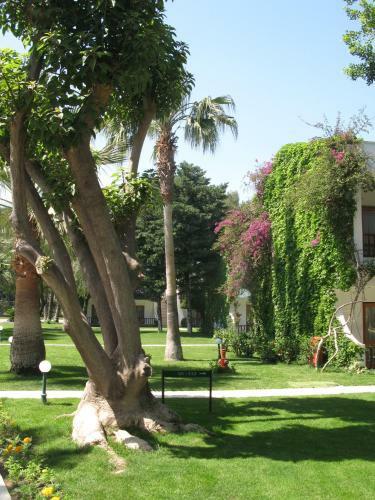 Hotel Club Boran Mare Beach