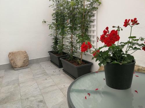 Apartamento Patio de La Escalera - Agust�n Moreno 46