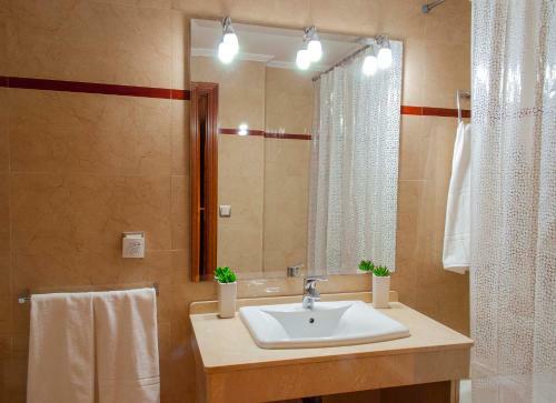 Apartamento C�ntrico Con Parking Privado