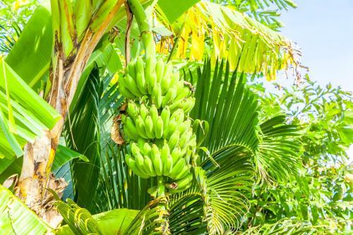 Villa Agus Mas - Serene & Calm Beachfront Villa!