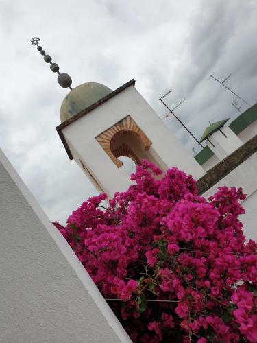 Entre 2 Mezquitas Apartamento 8