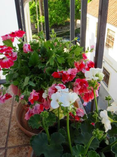 Apartamento Patios De San Pedro