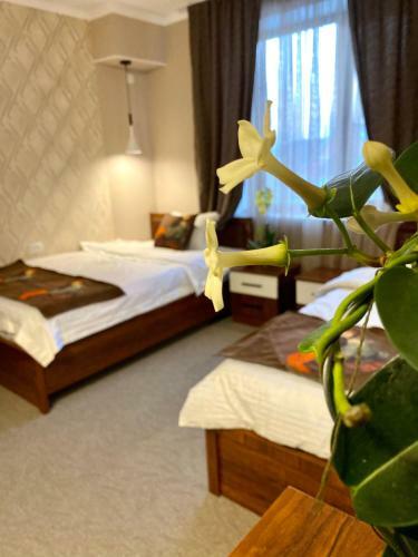 Hotel Cube House Osh