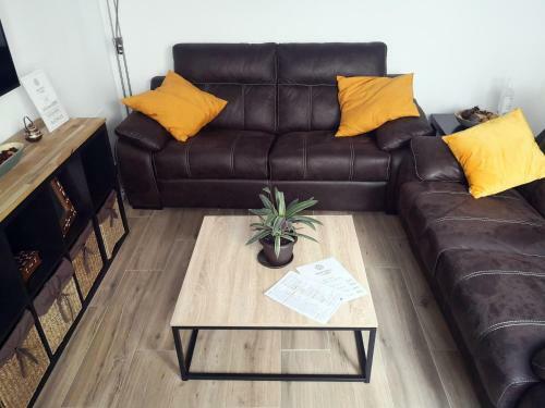 Apartamento Entre Patios Y Flores