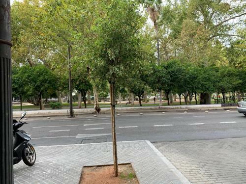 Apartamento Center Flat Tejares