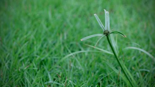 Bagan Billiken Hotel
