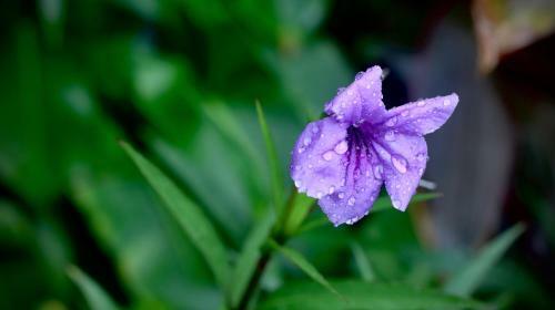 Bagan Billiken Hotel