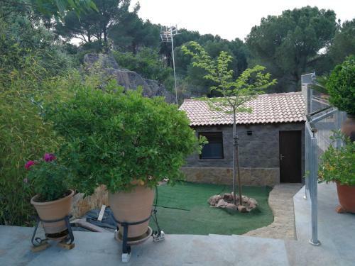 Caba�a De Madera Junto Al Lago Las Jaras