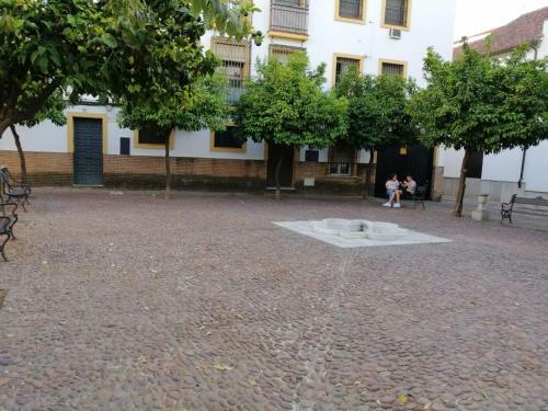 Apartamento Calle Abejar,plaza