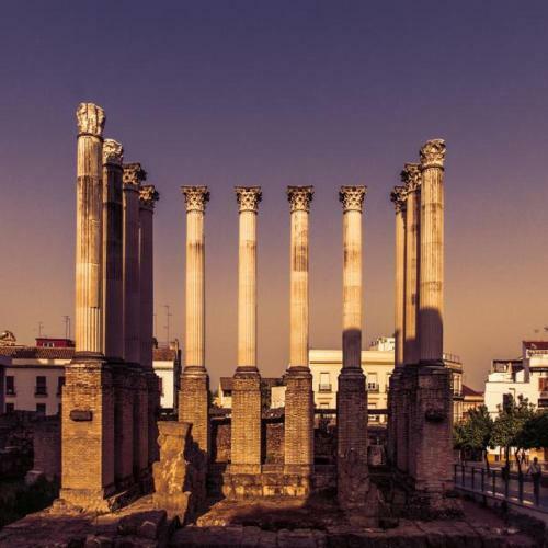 Pink Lemon Apartments