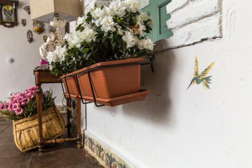 Bed & Breakfast Patio M�rquez