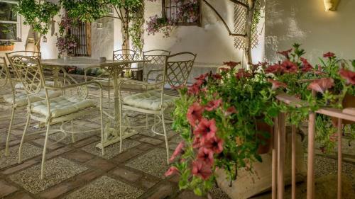 Bed & Breakfast Patio M�rquez