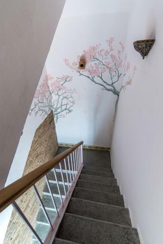 Bed & Breakfast Patio M�rquez