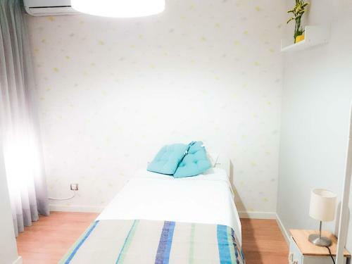 Apartamento Paseo De La Victoria