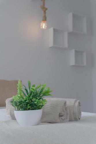 Apartamento Obispo Fitero