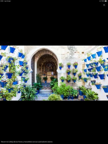 Apartamento Centro Hist�rico Mezquita Juder�a La Preferida
