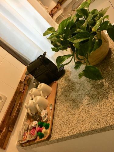 Apartamento Centro Hist�rico Mezquita Juder�a La Preferida