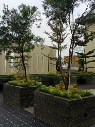 Apartamentos Dreamwood @ Galeri Ciumbuleuit