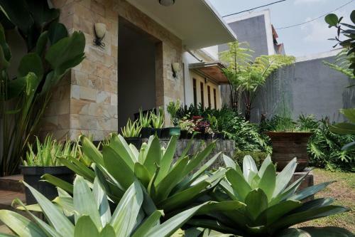 Hostal Pasteur Beautiful Luxury Home