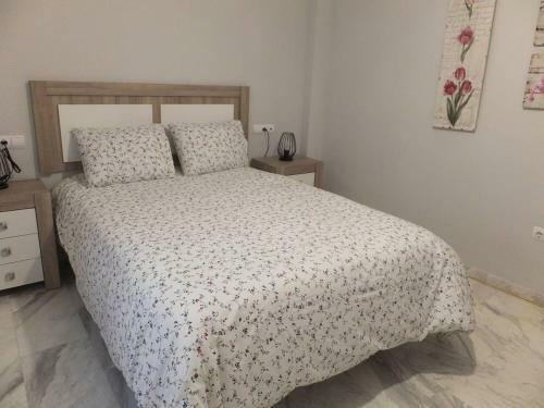 Tranquilo Y C�ntrico Apartamento C/alfonso XIII